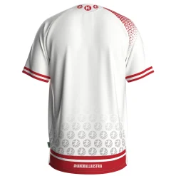 ÖHB Auswärtstrikot 24/25 Trikot