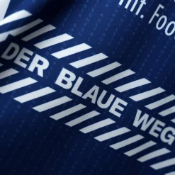 ThSV Eisenach Heimtrikot 24/25