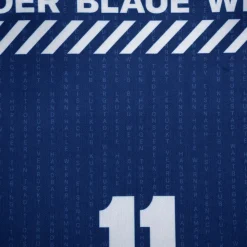 ThSV Eisenach Heimtrikot 24/25